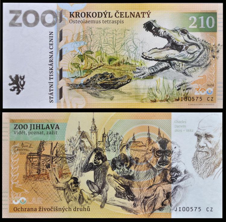 210 - Krokodyl krtkopyski - ZOO Jihlava (2023)