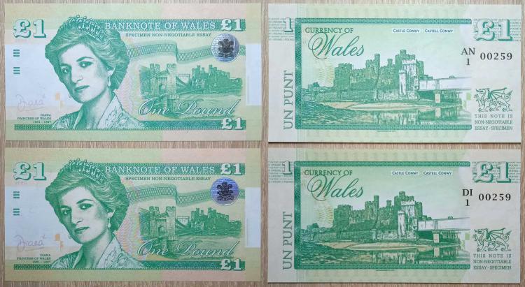 2020 - 1 pound - Banknote of Wales - Diana - AN1 00259 + DI1 0029