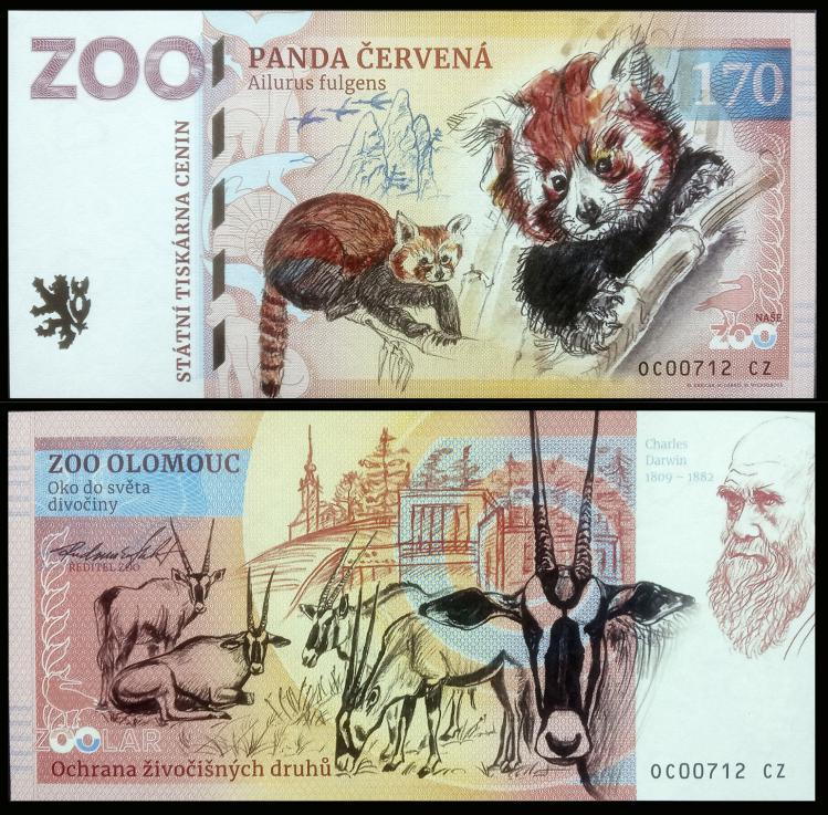 170 - Pandka ruda - ZOO Olomouc (2023)