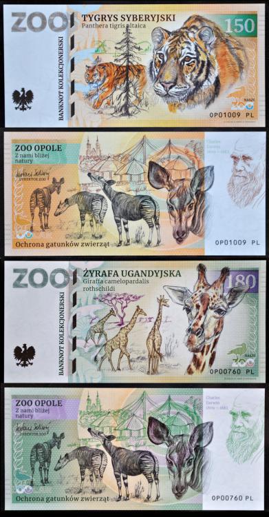 ZOO Opole - zestaw (2022)