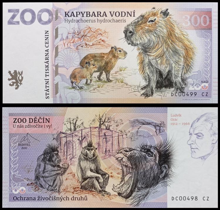 300 - Kapibara wielka - ZOO Decin (2024) NOWO