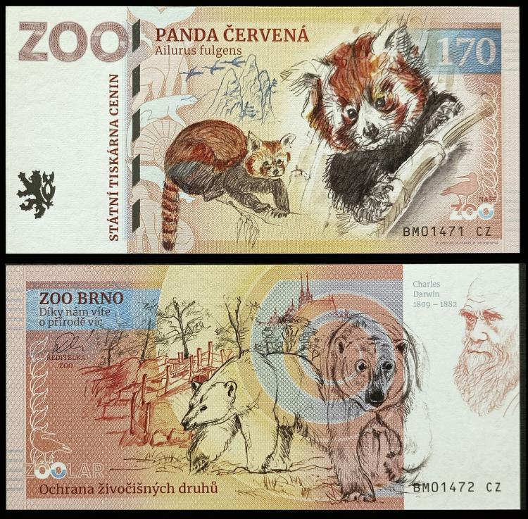 170 - Pandka ruda - ZOO Brno (2024) NOWO