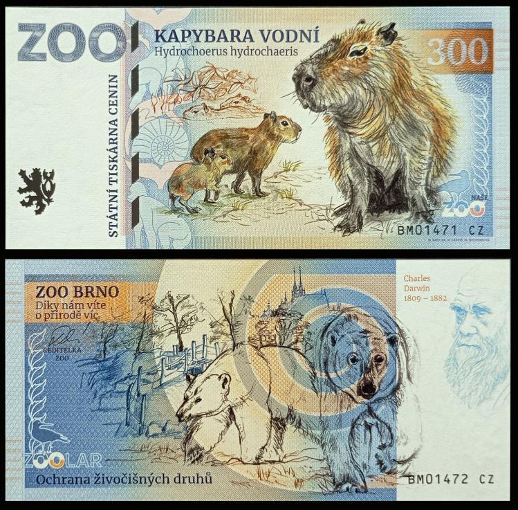 300 - Kapibara wielka - ZOO Brno (2024) NOWO