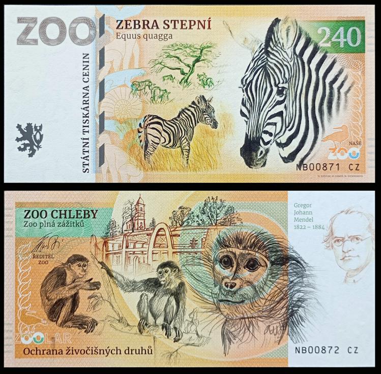 240 - Zebra stepowa - ZOO Chleby (2024) NOWO