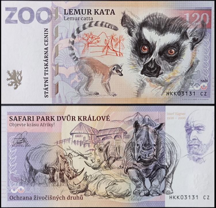 120 - Lemur katta - ZOO Dvur Kralove (2022b)